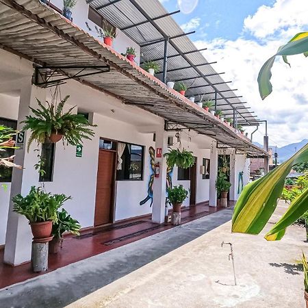 Shoffi'S House Backpackers Ξενοδοχείο Tarapoto Εξωτερικό φωτογραφία